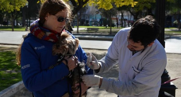 BAHIA BLANCA: Atención veterinaria municipal  *Vacunación antirrábica, aplicación de antisárnicos y desparasitación en tu barrio: -Para perros y gatos a partir de los 3 meses: